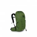 OSPREY TALON 26 green belt/black L/XL