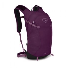 OSPREY SPORTLITE 20 aubergine purple