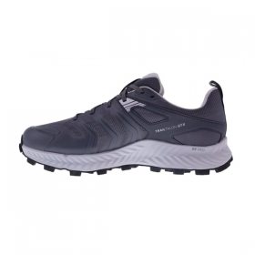 INOV8 TRAILTALON GTX M (standard) grey