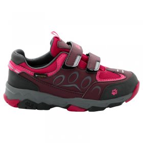 Jack Wolfskin MTN ATTACK 2 TEXAPORE LOW VC K dark berry