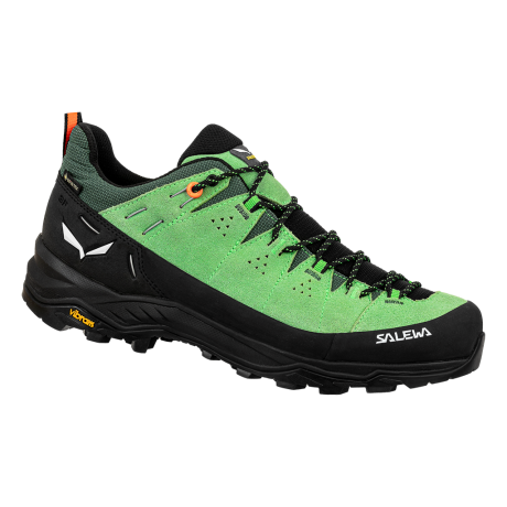 Salewa ALP TRAINER 2 GTX M pale frog/black