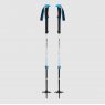 Black Diamond Expedition 2 Pro Ski Poles